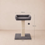 Cat Scratching Post with Plush Top Perch & Hanging Toy