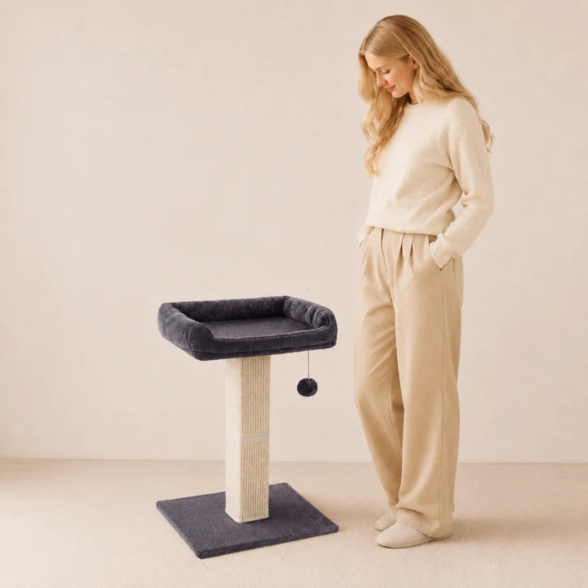 Cat Scratching Post with Plush Top Perch & Hanging Toy