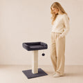Cat Scratching Post with Plush Top Perch & Hanging Toy