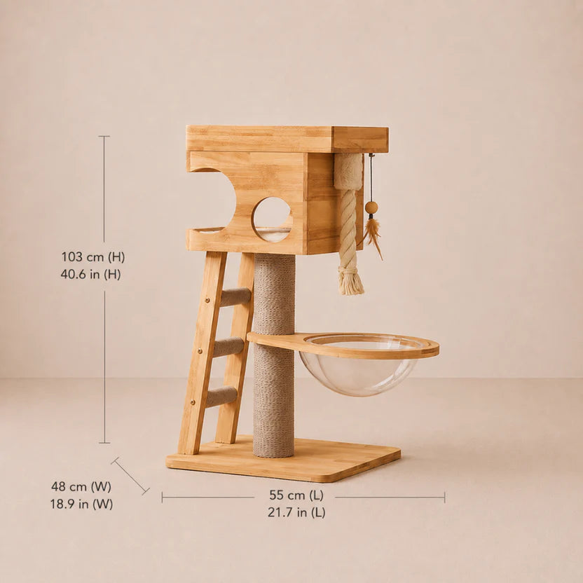 Solid Wood Cat Tree with Condo, Acrylic Bowl & Ladder