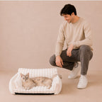 Snoozy Dream Calming Cat Bolster Bed