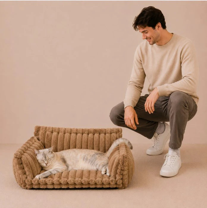 Snoozy Dream - Calming Cozy Cat Sofa Bed With Bolster