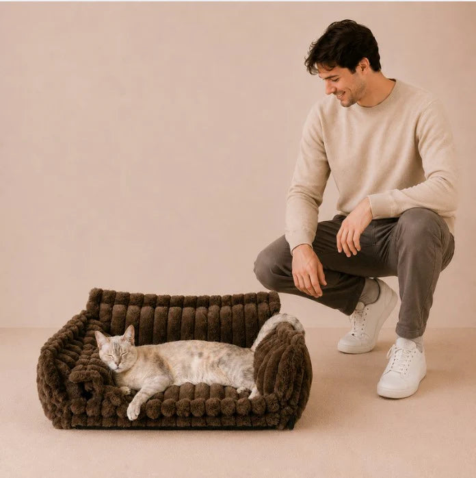 Snoozy Dream - Calming Cozy Cat Sofa Bed With Bolster