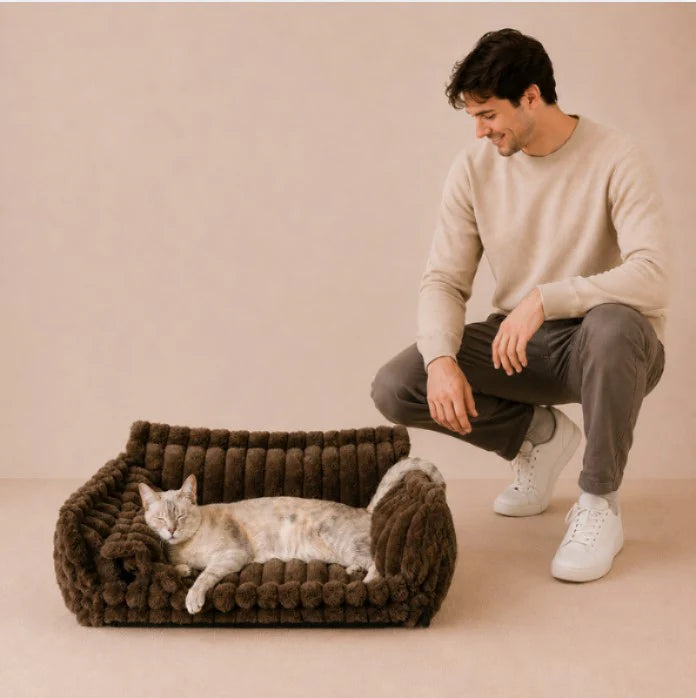Snoozy Dream - Calming Cozy Cat Sofa Bed With Bolster