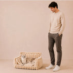 Snoozy Dream - Calming Cozy Cat Sofa Bed With Bolster