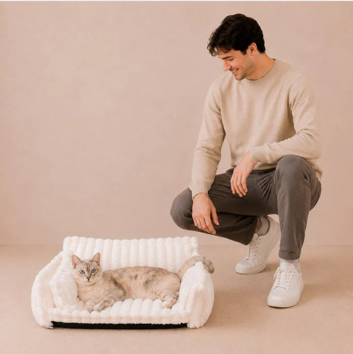 Snoozy Dream - Calming Cozy Cat Sofa Bed With Bolster