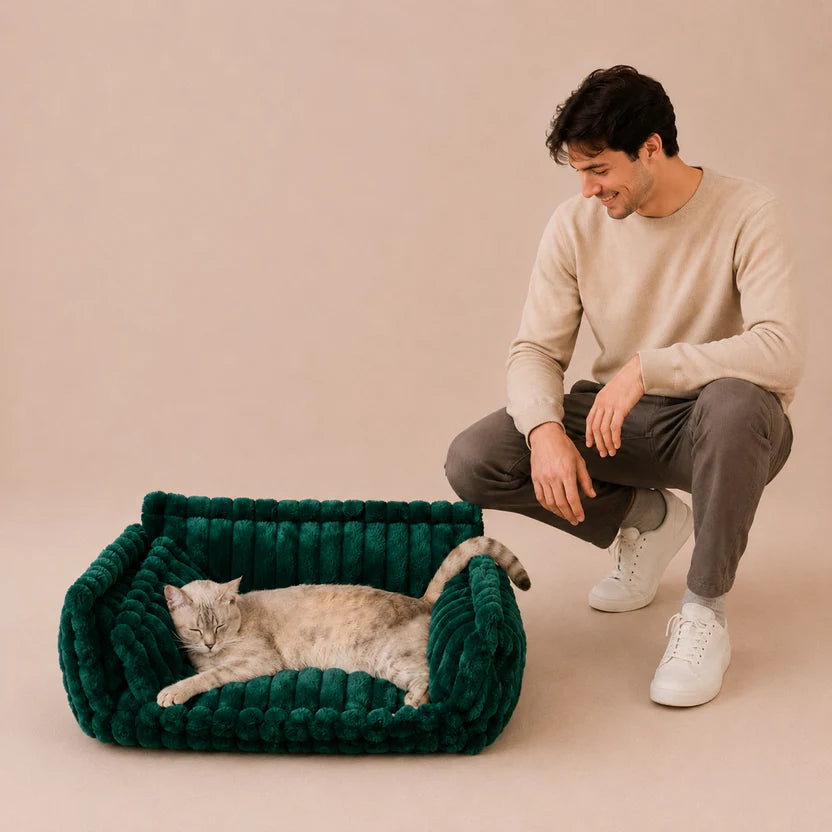 Snoozy Dream - Calming Cozy Cat Sofa Bed With Bolster