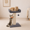 Cat Scratching Post