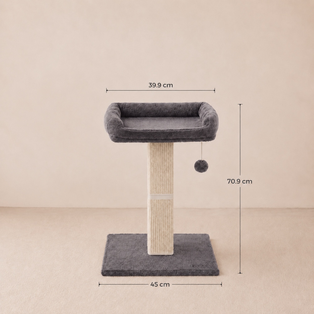 Cat Scratching Post