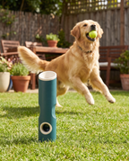 Frenzy Go Portable Ball Launcher on the lawn with dog fetching