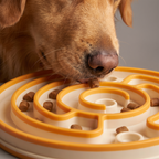 A dog's nose following the winding channel on the Brain Maze puzzle
