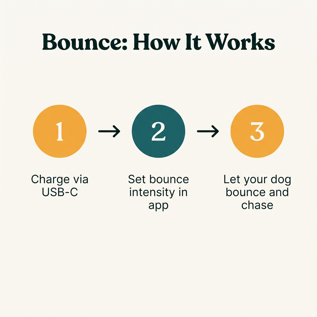 Bounce Smart Bouncing Ball - how it works step diagram