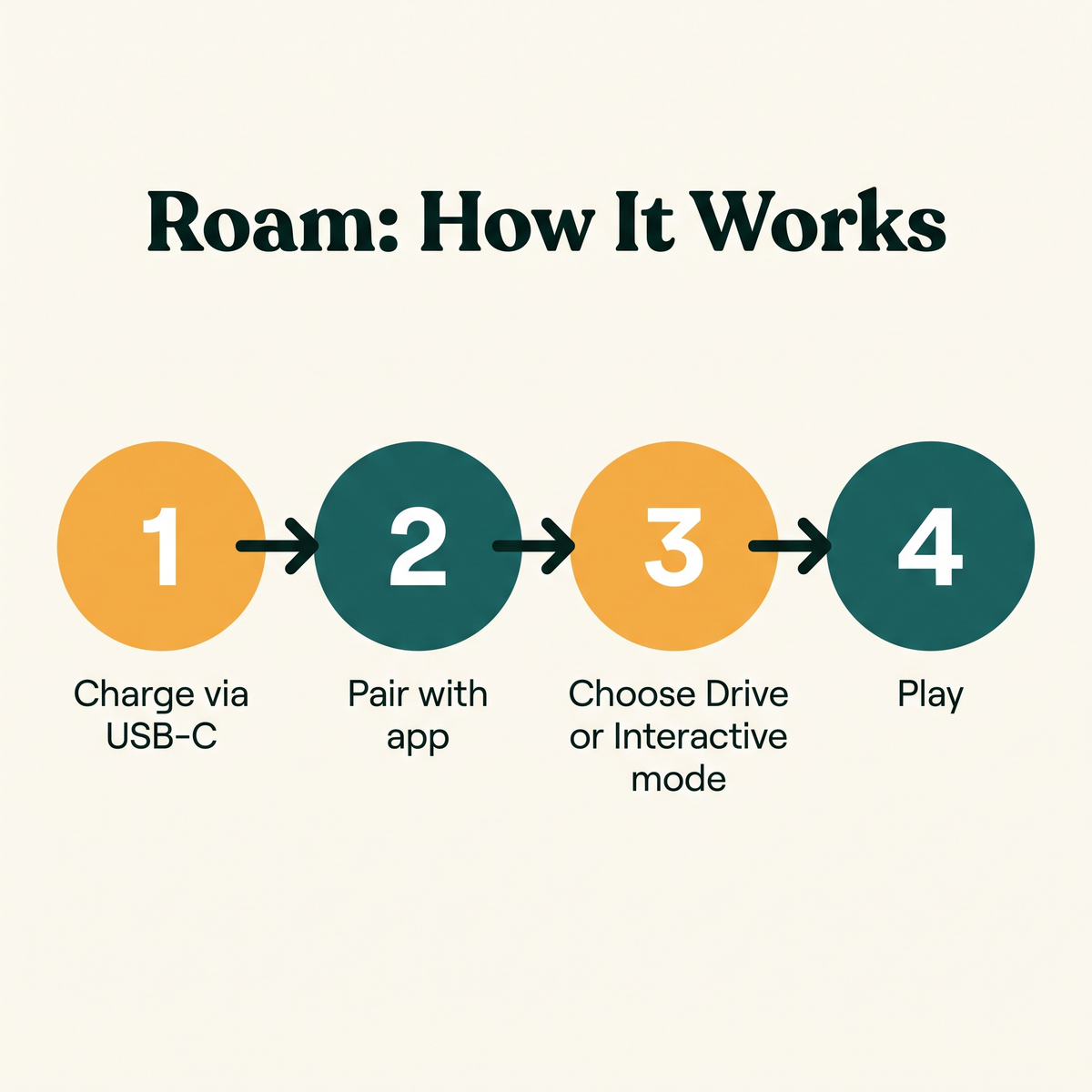 Roam App-Controlled Robotic Bone - how it works step diagram