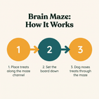 Brain Maze Level 3 Treat Maze - how it works step diagram