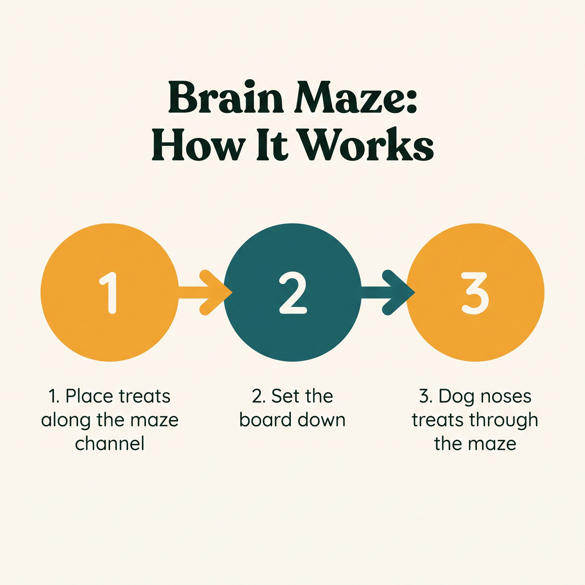 Brain Maze Level 3 Treat Maze - how it works step diagram