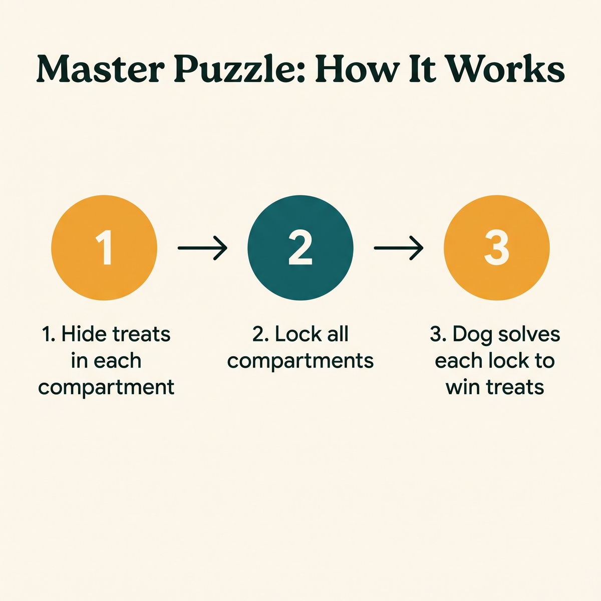 Master Puzzle Level 4 Multi-Compartment - how it works step diagram