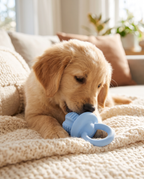 Puppy chewing the Puppy Soft Bite Teething Chew at home