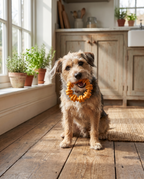 Dog chewing the Dental Twist Textured Chew Ring at home