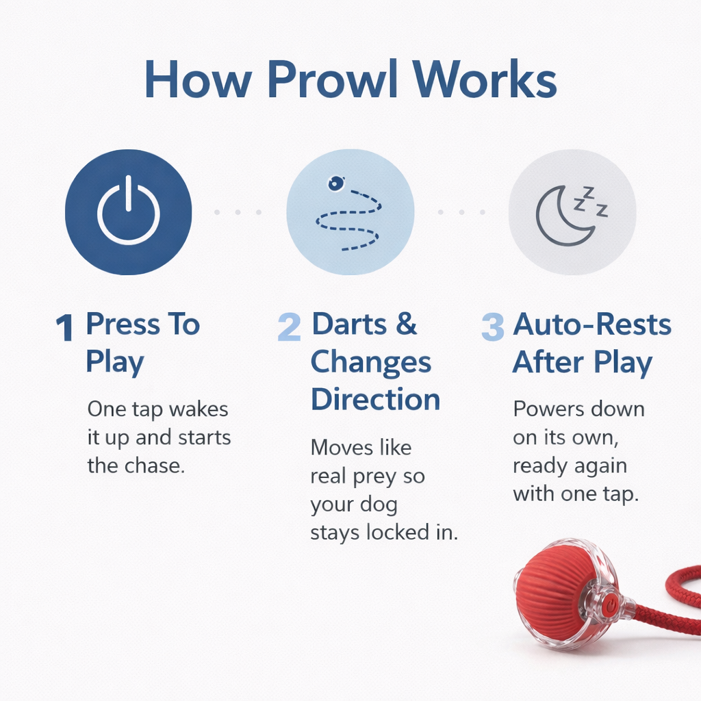 How Prowl Smart Chase Ball works — press to play, darts and changes direction, auto-rests