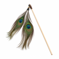Peacock Feather Wand Duo