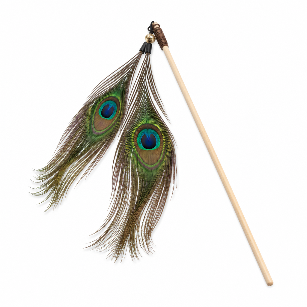 Peacock Feather Wand Duo